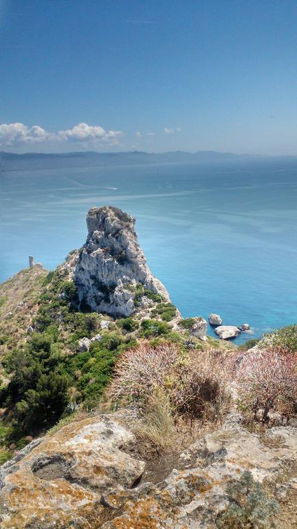 Alfieri B&B Cagliari Dış mekan fotoğraf